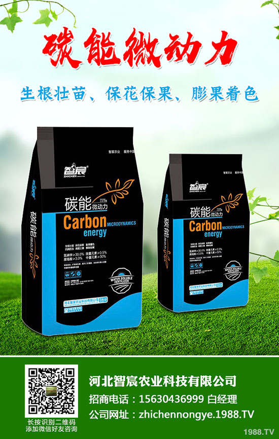 5����(n��i)�׷��Ј���ȥ�Ώģ�����һ�@���@�r�������߄��A�y��