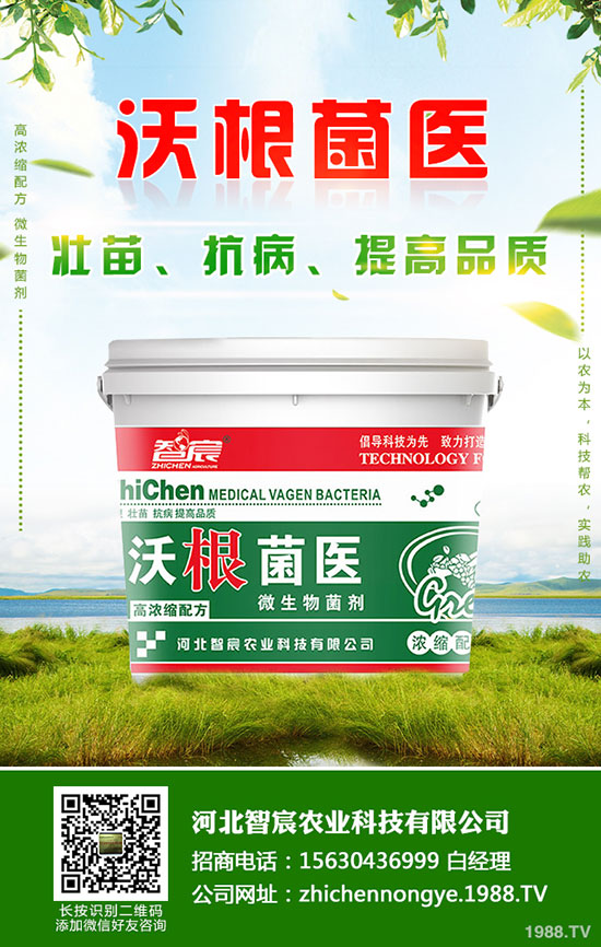 ⛷ʃr(ji��)�����wƫ���\(y��n)��������⛷��������2020-5-15��