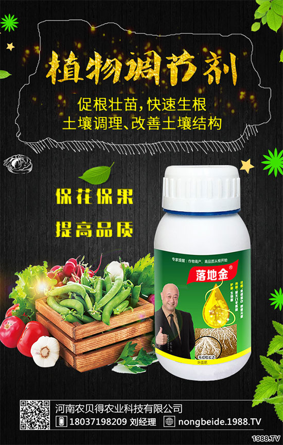 �����~Ƭ�l(f��)����ʲôԭ���������B(y��ng)ֳע��Ҫ�c��