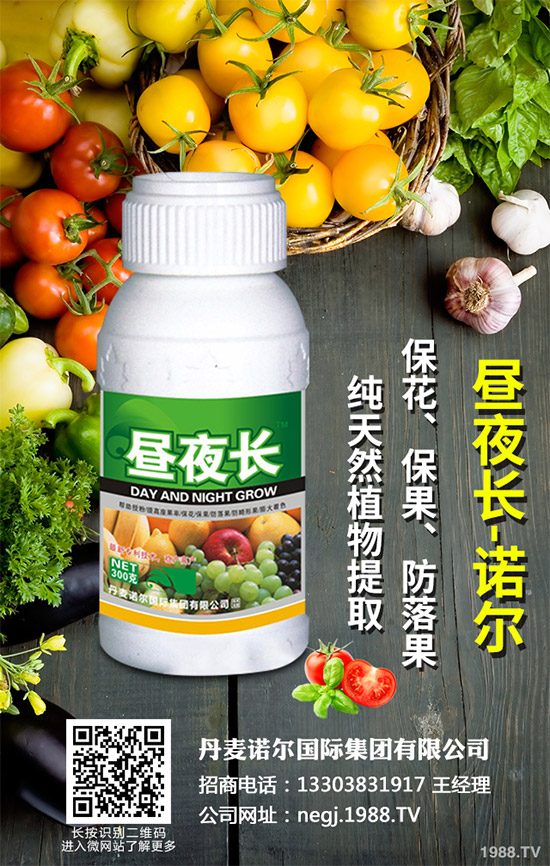 夏芹菜什么時(shí)候種植？該如何種植？夏芹菜高產(chǎn)種植技術(shù)