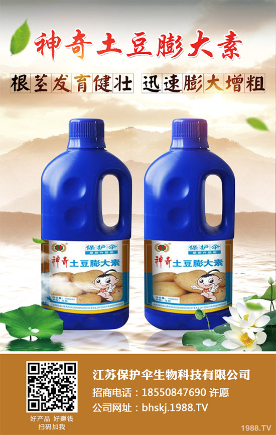 ����(n��i)���؃r(ji��)���Ј������܈�(b��o)