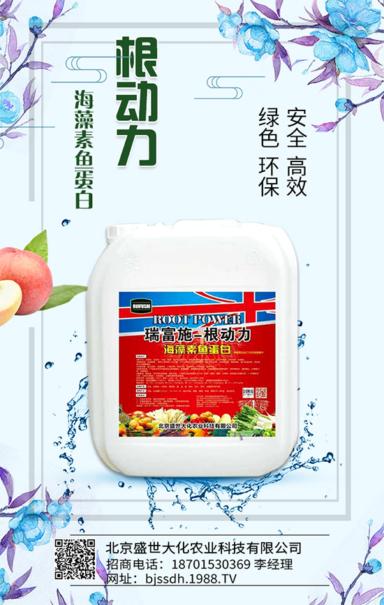 ��֦���L�h(hu��n)��Ҫ������֦��޽ӷ�����ʩ��ԭ�t��