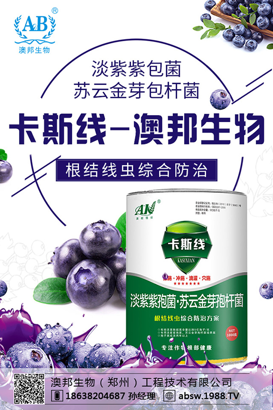 ���ײ��N������������������x�N�����ײ��Nע�����(xi��ng)��