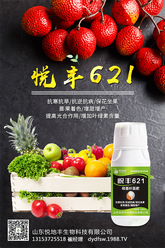 �t����֪��ԓ�����������