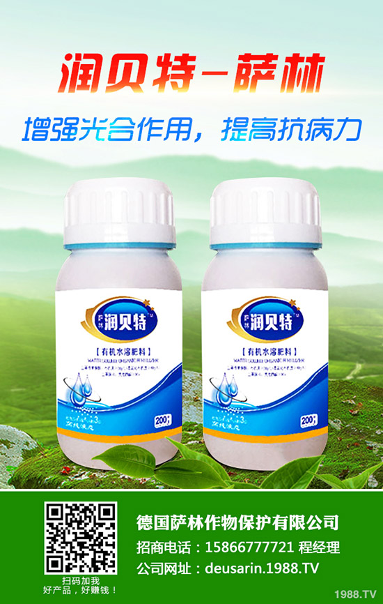 ��ۘ���ô�B(y��ng)����ۘ���B(y��ng)ֳ������ע�����(xi��ng)