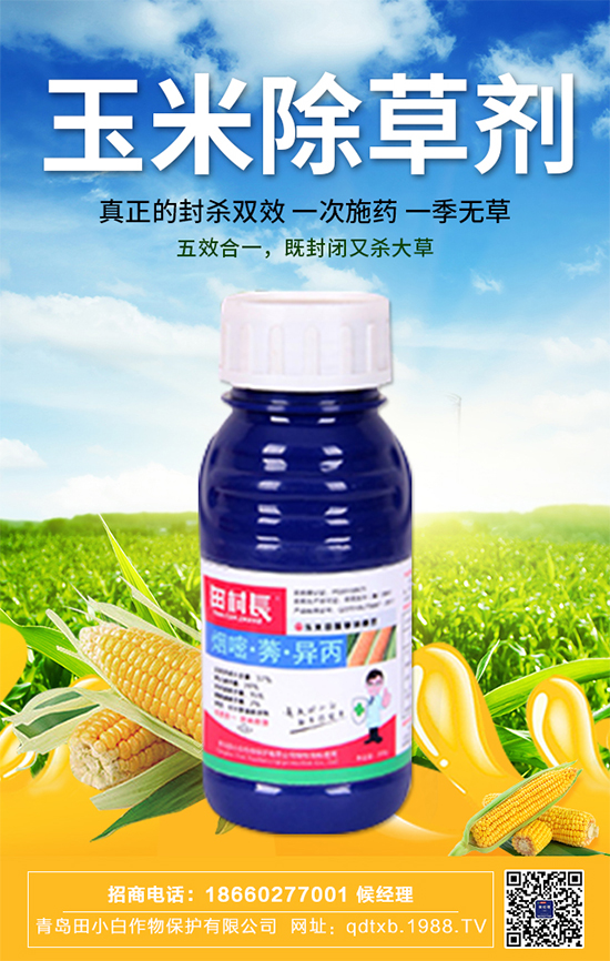 ���׷N�Ӱ�N��ʲô�������������ڹ���Ҫ�c(di��n)��