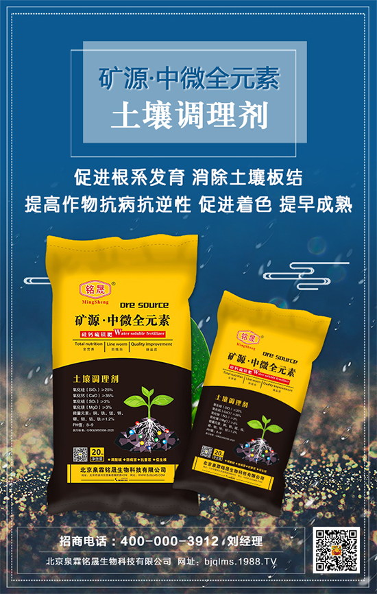 ��֥��ʲô�r�g�Nֲ����֥�����༼�gҪ�c��