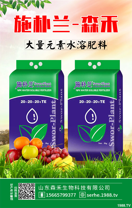 �R���r(ji��)�񲻔��������ܷ��^�m(x��)��(ji��n)ͦ��2020���R����Nֲǰ������