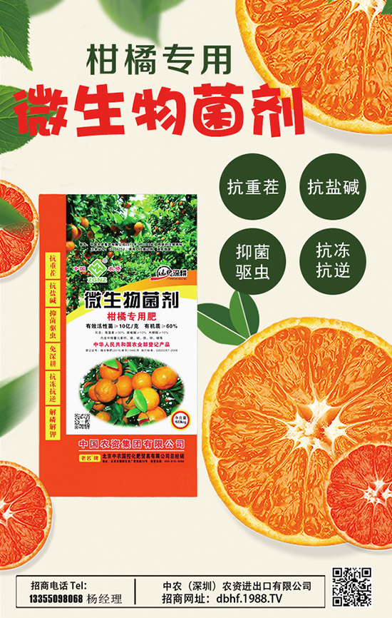     2020ɽˎ�r������Xһ�����Nֲǰ�������ɽˎ�Nֲ�߮a(ch��n)�������g��