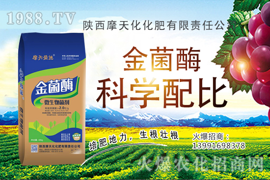 2020�����Nֲǰ����ô���������N�Ӷ����Xһ����