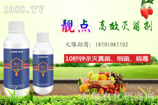 ����Ƭ��ʲô���ã��ԙ�����ʲô��̎��