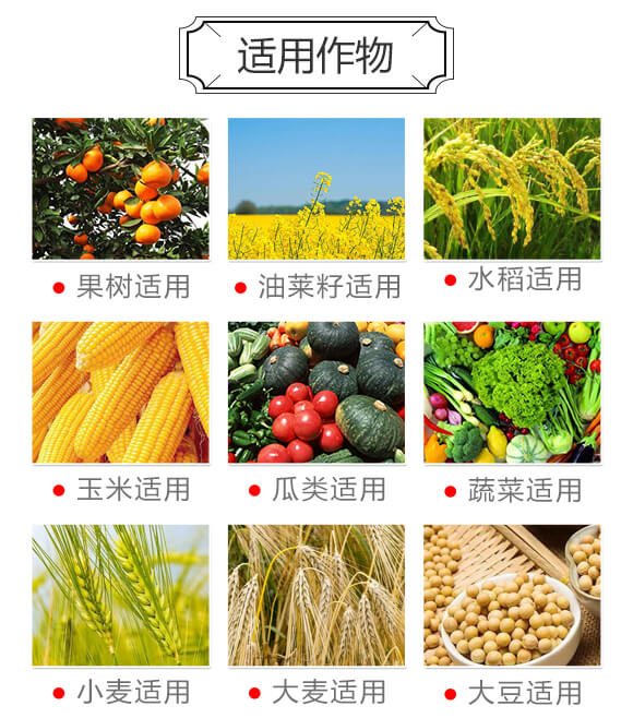 ��������-�����S_04