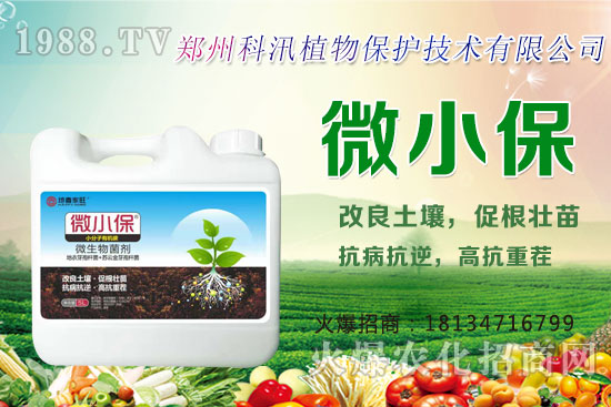 ����Ĺ�Ч�c�����������c�����Ă�(g��)���РI(y��ng)�B(y��ng)��