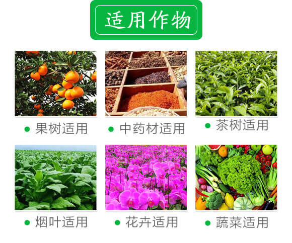 穩(wěn)定性肥料25-10-10-中港美盛_02