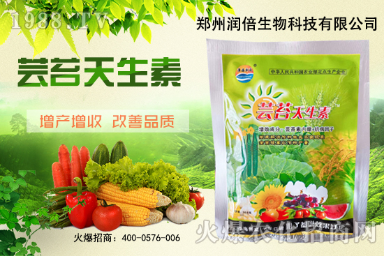 �S�B������ô�������S�B���ڲ��x(ch��ng)��������