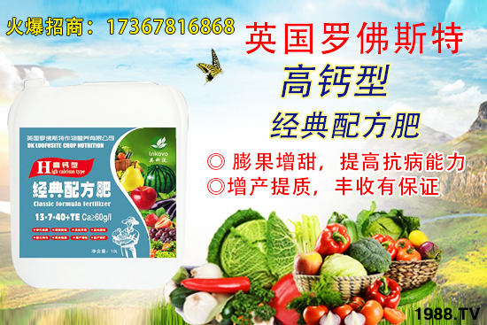     6�����ؿ��ܕ�(hu��)��q��2020��6��2�ո��؅^(q��)�����������S��(b��o)�r(ji��)