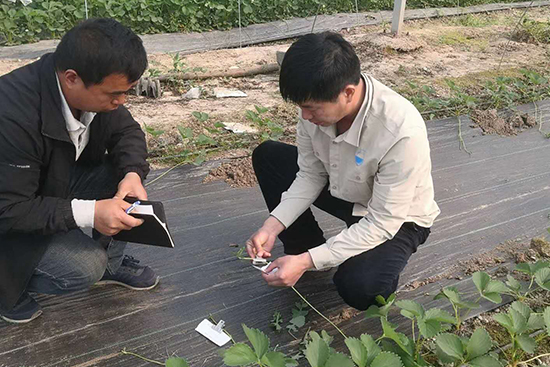 ��ݮȫ�a(ch��n)�I(y��)朷�����