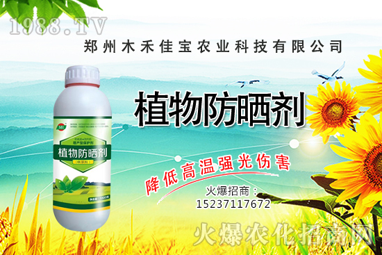 ������Nֲ����Ҫ�c(di��n)����Щ�����������Է�����