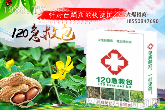 �S�ϼ޽���ʲô��̎����������S�ϼ޽�����