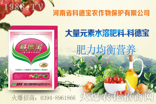 ��֦ʲô�r(sh��)�g��������֦���A�\(y��n)��������Щ��