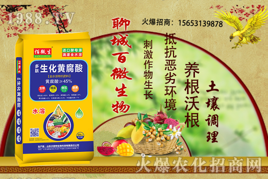 ������ʲô�r��׷������ʲô����������׷����ʲôע�������