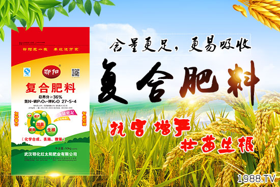 Ѫ������Щ�I�B(y��ng)�rֵ����Ѫ����ʲô��̎��