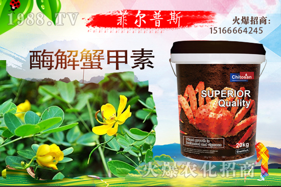 С���r(ji��)��