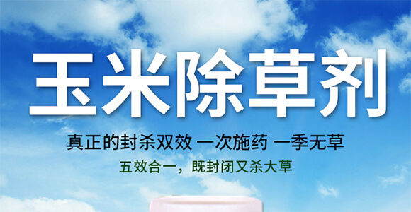 ���׳��݄��⚢�͡�����L(zh��ng)_01