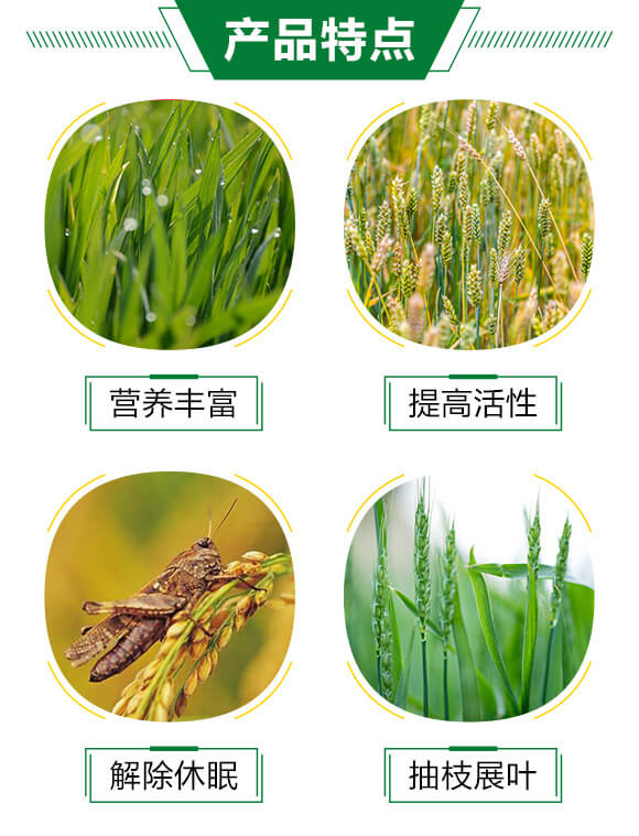 ���(sh��)��ᘝ�sҺ-����-�³�_03