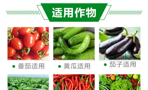 緩釋藥片-沃源生物_07