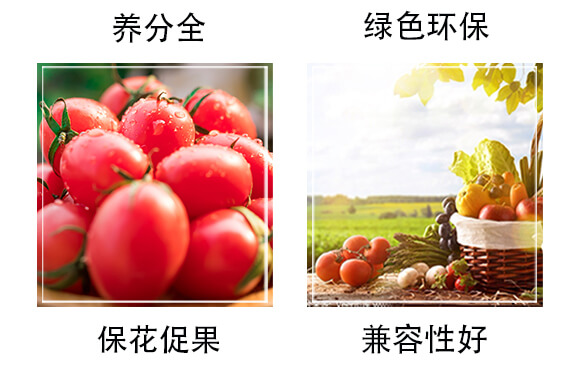 ���帯ֳ���͏ͺϷ���18-18-18+TE-��̫��_05