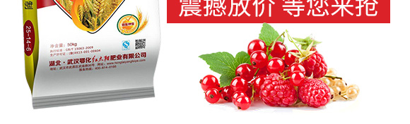 硫酸鉀型復(fù)合肥料25-14-6-鄂陽(yáng)_05