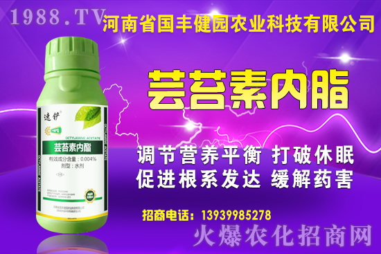 ��(f��)�Ϸʃr��