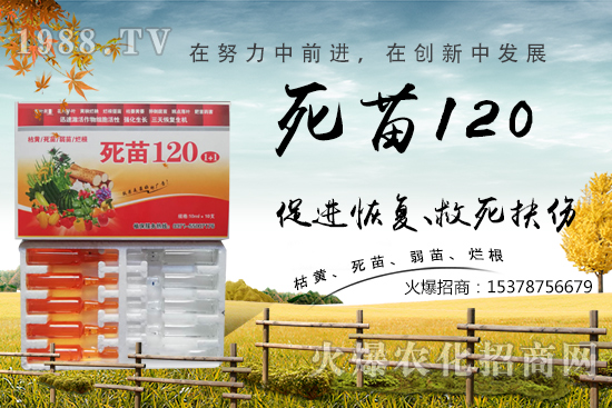  �߲˷Nֲ���L���������������砀�����W(xu��)���@Щ�������߲����砀�������£�