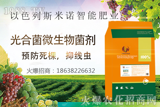 ���Y(ji��)���xΣ������̫�y��������΢�ء����æ�����ƾ��x���x�����Ƀ���