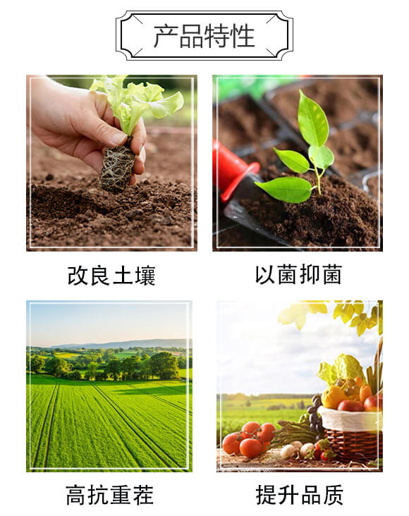 �����ͺϷ�-���r�ʘI(y��)_03