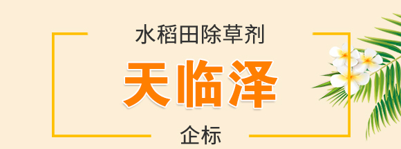 ˮ������݄�-���R��-���_01