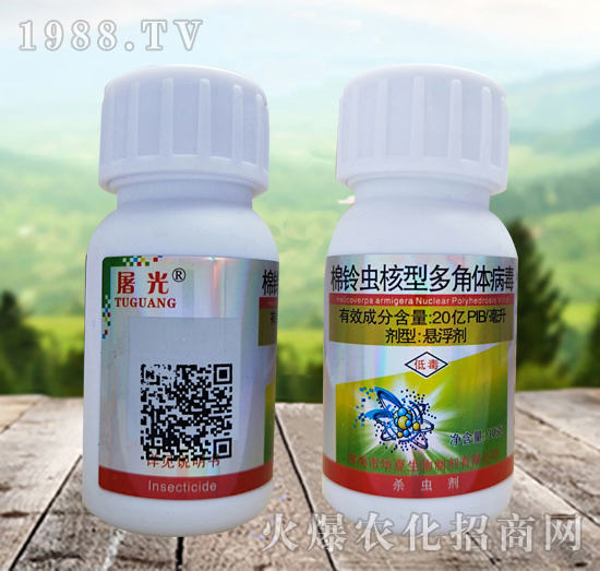 ����x���Ͷ���w������ʲô�x��Ч����ô������ô�x��