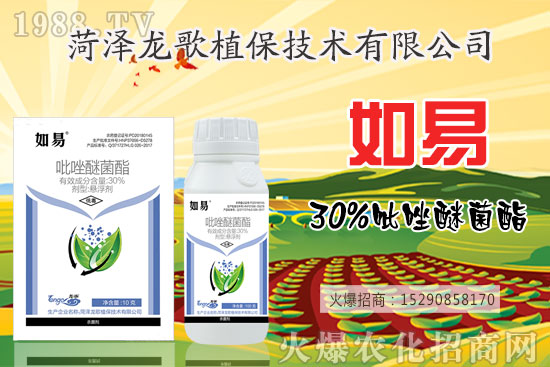 �����仨���