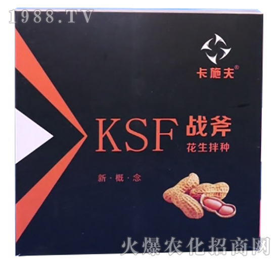 ������N����Щ��̎��������N��ʲô��N����