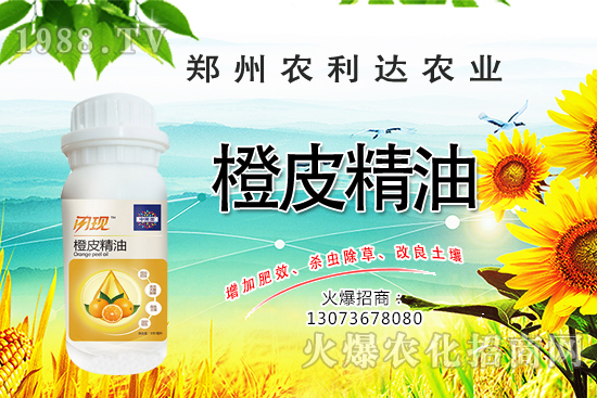 ��Ƥ�������˽��������Ƥ������ʲô��������ô�x��Ƥ������