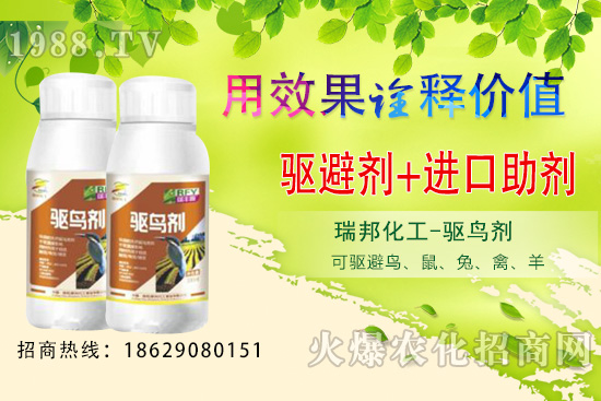 �ļ����@�B�������·������������󣡹��@�(q��)�B������