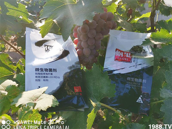 �îa(ch��n)Ʒ����������һ�t���΢������������t���͑��挍(sh��)������