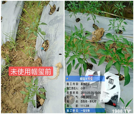 �îa(ch��n)Ʒ�����ã���һ�t���΢������������t���͑��挍(sh��)������