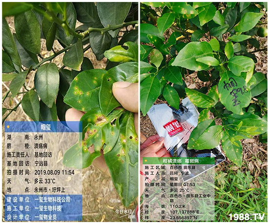 �îa(ch��n)Ʒ����������һ�t���΢������������t���͑��挍(sh��)������