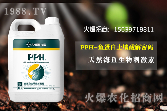 ���؃r(ji��)��