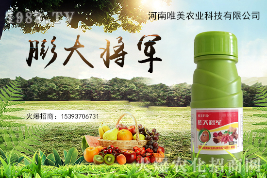 ����(sh��)�����������(sh��)С��ô��Q������(sh��)����ʵ��x������Щ��