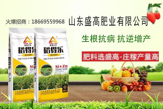 ʢ�߷ʘI(y��)����������Щ��(y��u)������˾����a(ch��n)Ʒ����Щ��