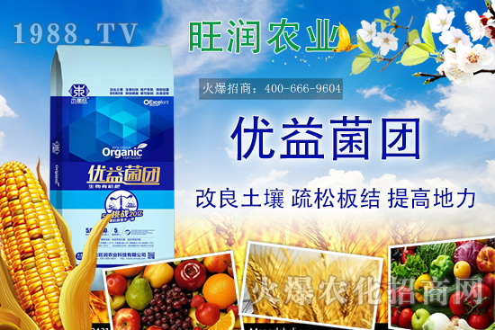 �����ЙC����ʲô���������ЙC�ʵă�(y��u)�����c�������ϵą^(q��)�e��