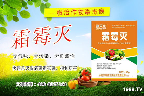 �S��˪ù��������ô�k�����������S��˪ù����